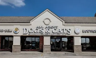 All About Dogs & Cats, business photo 1