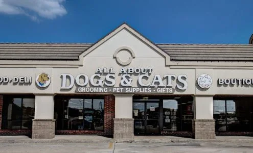 All About Dogs & Cats business photo