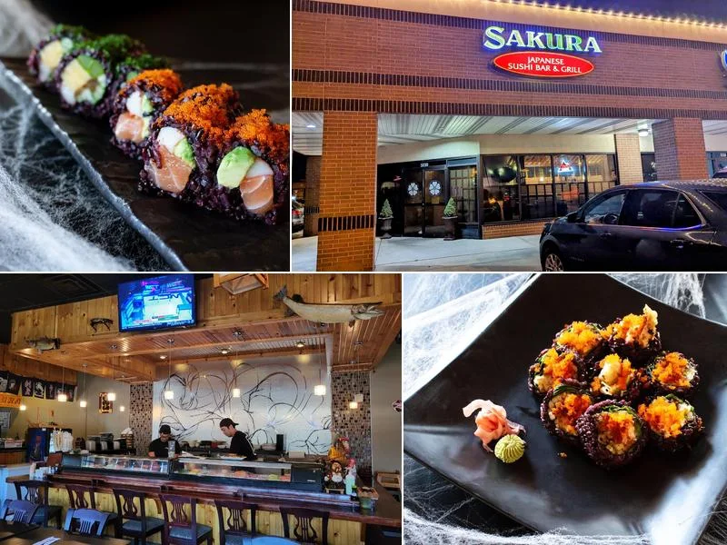 Sakura Japanese Sushi Bar & Grill business photo